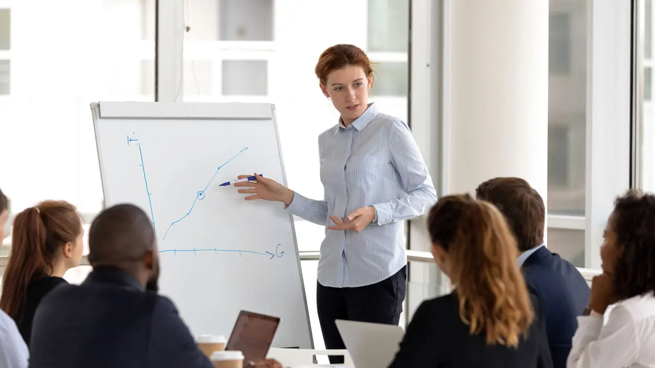 Audit / Conseil / Etudes